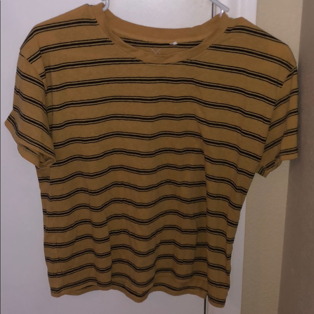 Striped Pacsun Crop Top